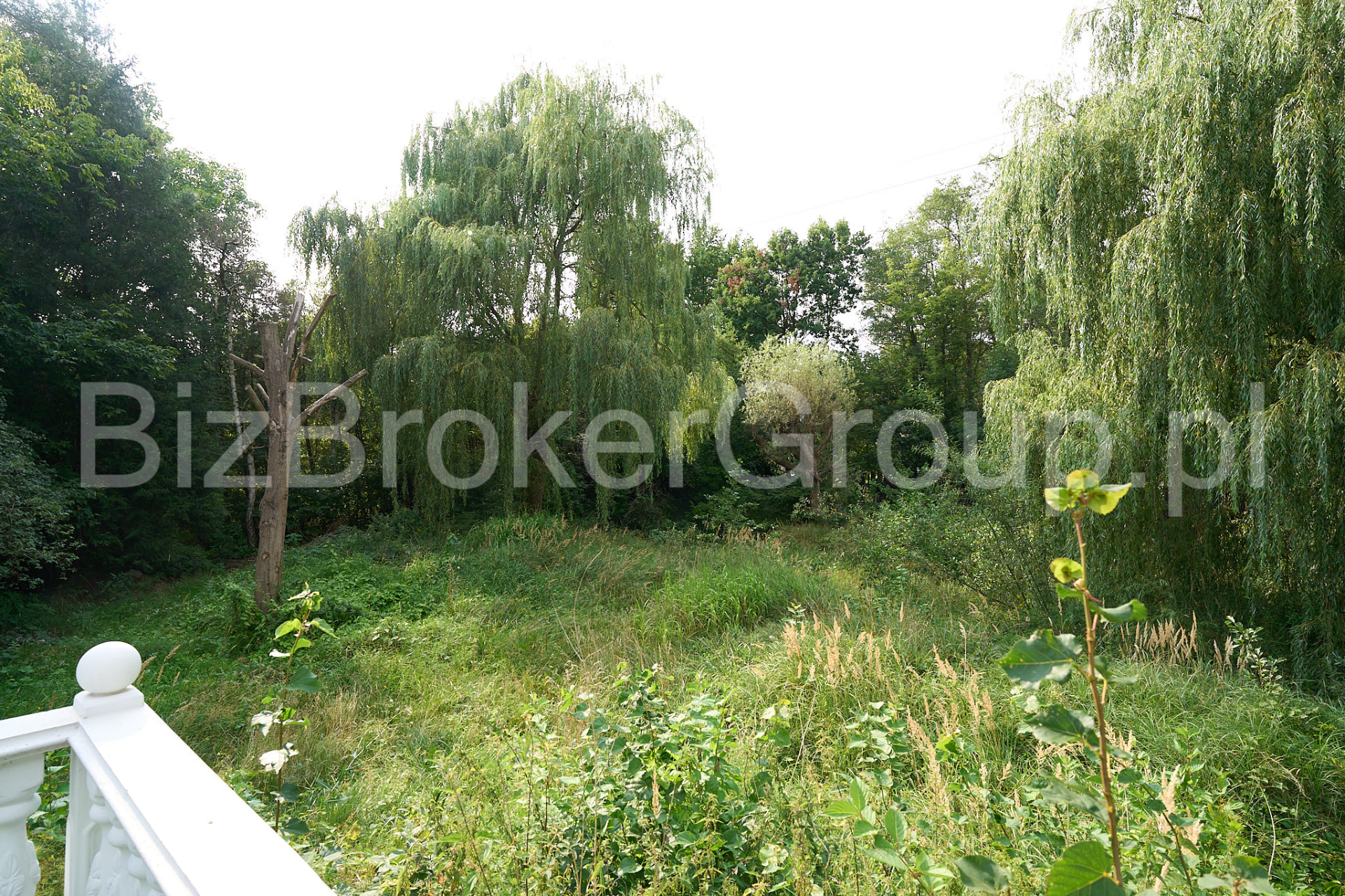 Działka 3 230 m² porośnięta bujną zielenią i starodrzewem